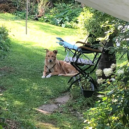 Werra Bed Bike &dog Ihre Fuer Radfahrer, Wanderer, Gaeste Mit Hund Witzenhausen